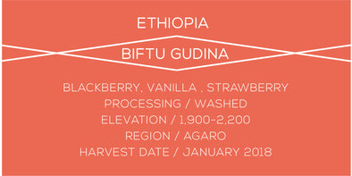 Ethiopia Biftu Gudina - Case Coffee Roasters
