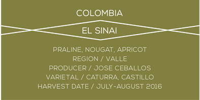 Colombia El Sinai Case Coffee
