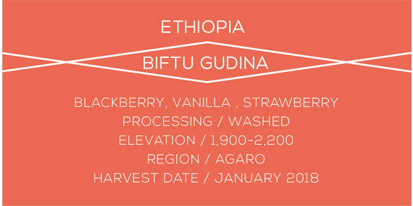Ethiopia Biftu Gudina - Case Coffee Roasters