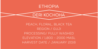 Ethiopia Deri - Case Coffee Roasters