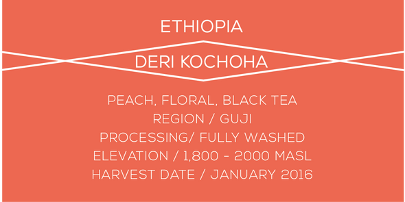 Ethiopia Deri - Case Coffee Roasters