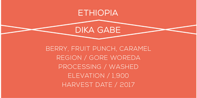 Ethiopia Dika Gabe - Case Coffee Roasters