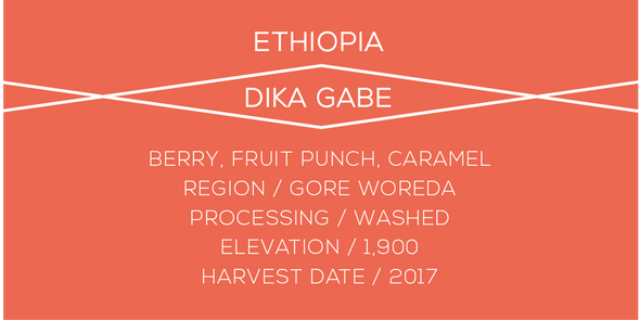 Ethiopia Dika Gabe - Case Coffee Roasters