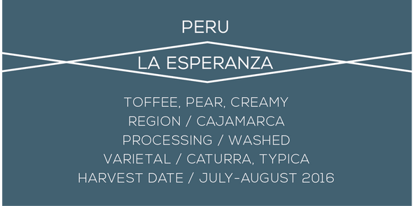Peru Esperanza - Case Coffee Roasters