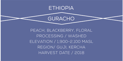 Ethiopia Guracho