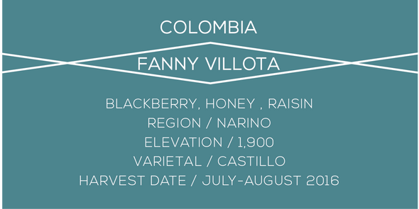 Colombia Fanny Villota - Case Coffee Roasters