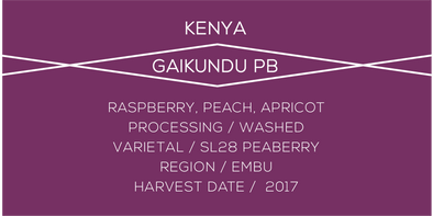 Kenya Gaikundu Peaberry - Case Coffee Roasters