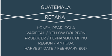 Guatemala, Retana, Yellow bourbon, Coffee