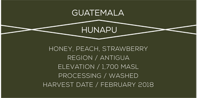 Guatemala Hunapu - Case Coffee Roasters