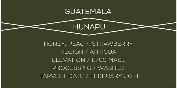 Guatemala Hunapu - Case Coffee Roasters