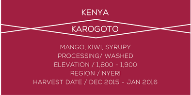 Kenya Karogoto - Case Coffee Roasters
