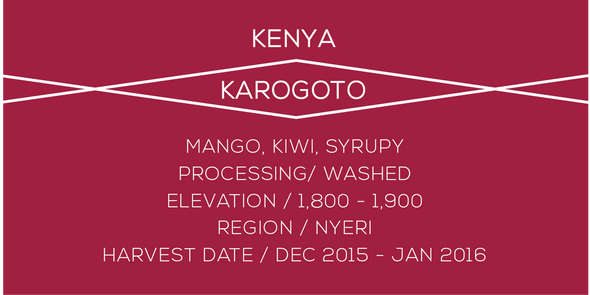 Kenya Karogoto - Case Coffee Roasters