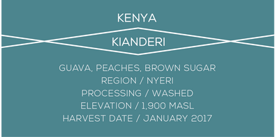 Kenya, Kianderi, Case Coffee