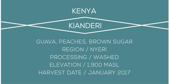 Kenya, Kianderi, Case Coffee