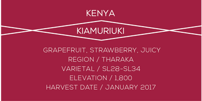 Kiamuruki, Kenya, Coffee