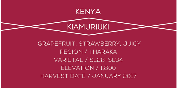 Kiamuruki, Kenya, Coffee