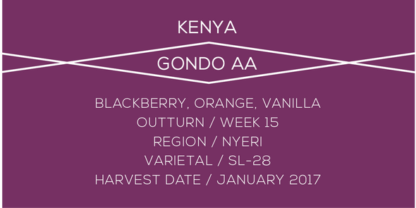 Kenya, Gondo, Coffee,