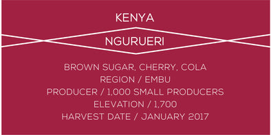 Kenya Ngurueri - Case Coffee Roasters