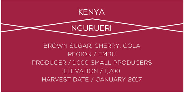 Kenya Ngurueri - Case Coffee Roasters