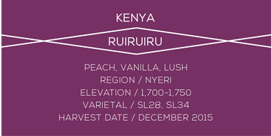 Kenya Ruiruiru - Case Coffee Roasters