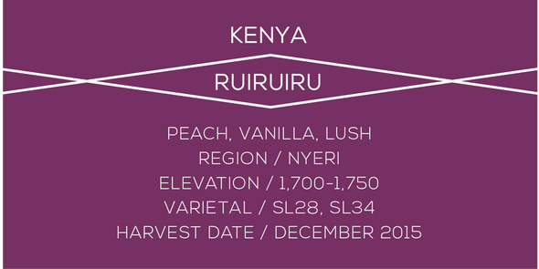 Kenya Ruiruiru - Case Coffee Roasters