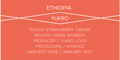 YUKRO ETHIOPIA CASE COFFEE