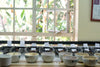 Kenya, Kiamuriuki, Coffee